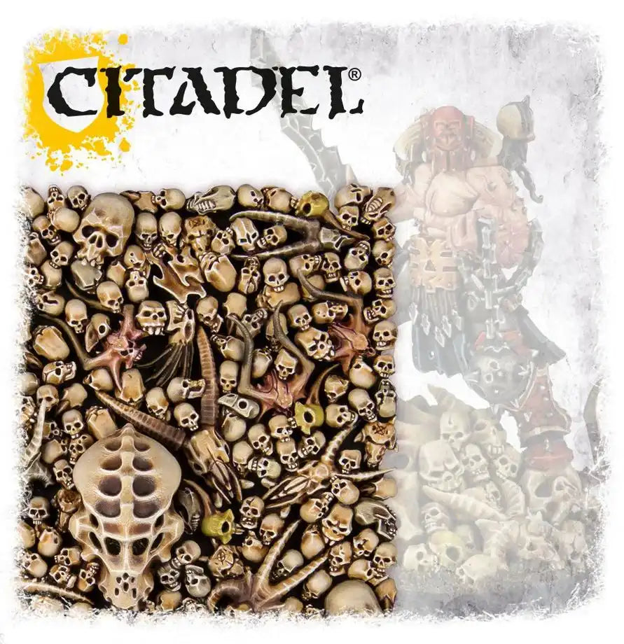 Crânes de la Citadelle